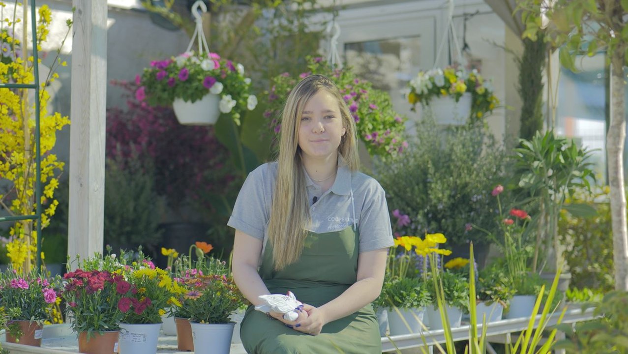 Coopérative agricole - les plus belles plantes pour votre jardin