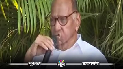 Sharad Pawar Live: संजय राऊतांवर कारवाईची गरज काय होती? | Sakal Media | Sanjay Raut| Pawar-Modi Meet