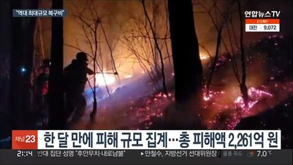 동해안산불 복구비로 4천억 투입…"역대 최대"