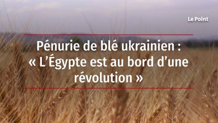 Pénurie de blé ukrainien : « L’Égypte est au bord d’une révolution »