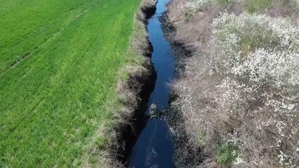 Asfalt şantiyesinden tarım alanlarına sızan zift kontrol altına alındı (3)