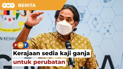 Kerajaan sedia kerjasama kaji ganja untuk perubatan