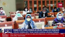 Tak Datang Akibat Hadiri Sumpah Dokter Anaknya, DPR Tolak Perwakilan Lucia Rizka Ikuti Rapat