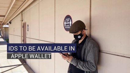 IDs to be Available in Apple Wallet