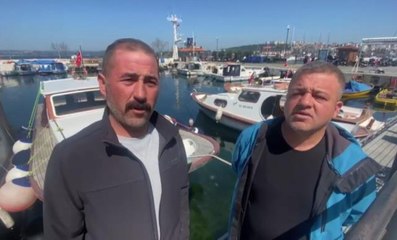 Çanakkale Boğazı'nda yaklaşık 300 kilogram ağırlığında köpekbalığı yakaladılar