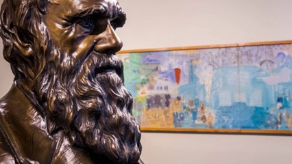 Des carnets de note perdus de Darwin refont surface après 20 ans