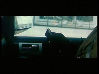 La  vengeance dans la peau