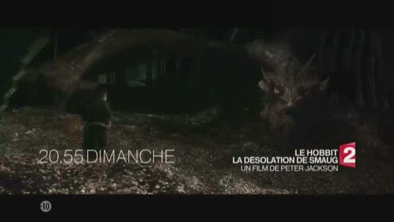 Le Hobbit : la désolation de Smaug