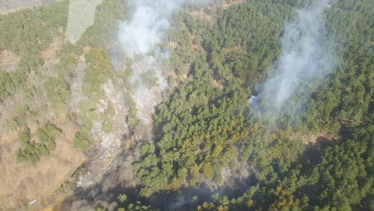 Son dakika haberi! İzmir'in Ödemiş ilçesindeki orman yangını kontrol altına alındı