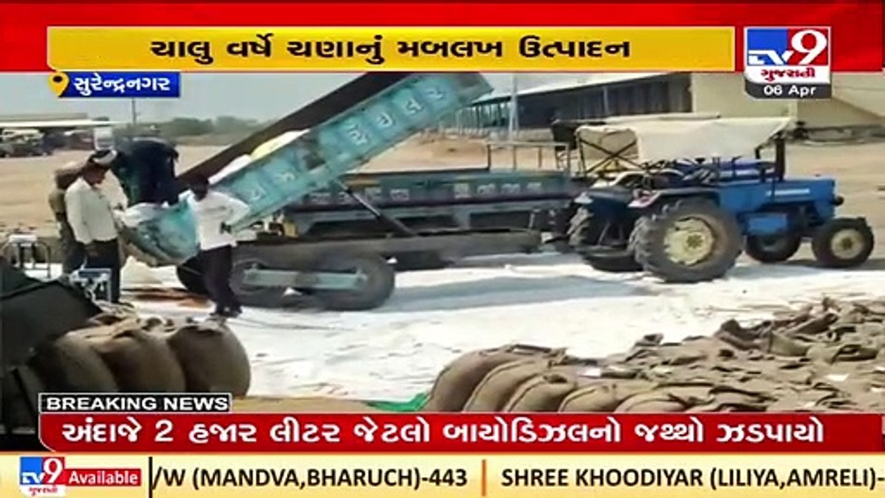 Row after chick pea procurement at MSP stopped within few days in Wadhwan, Surendranagar _ TV9News