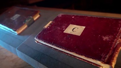 Missing Charles Darwin notebooks anonymously returned