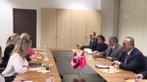 Dışişleri Bakanı Çavuşoğlu, Kanadalı mevkidaşıla bir araya geldi