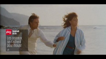 Les oiseaux se cachent pour mourir