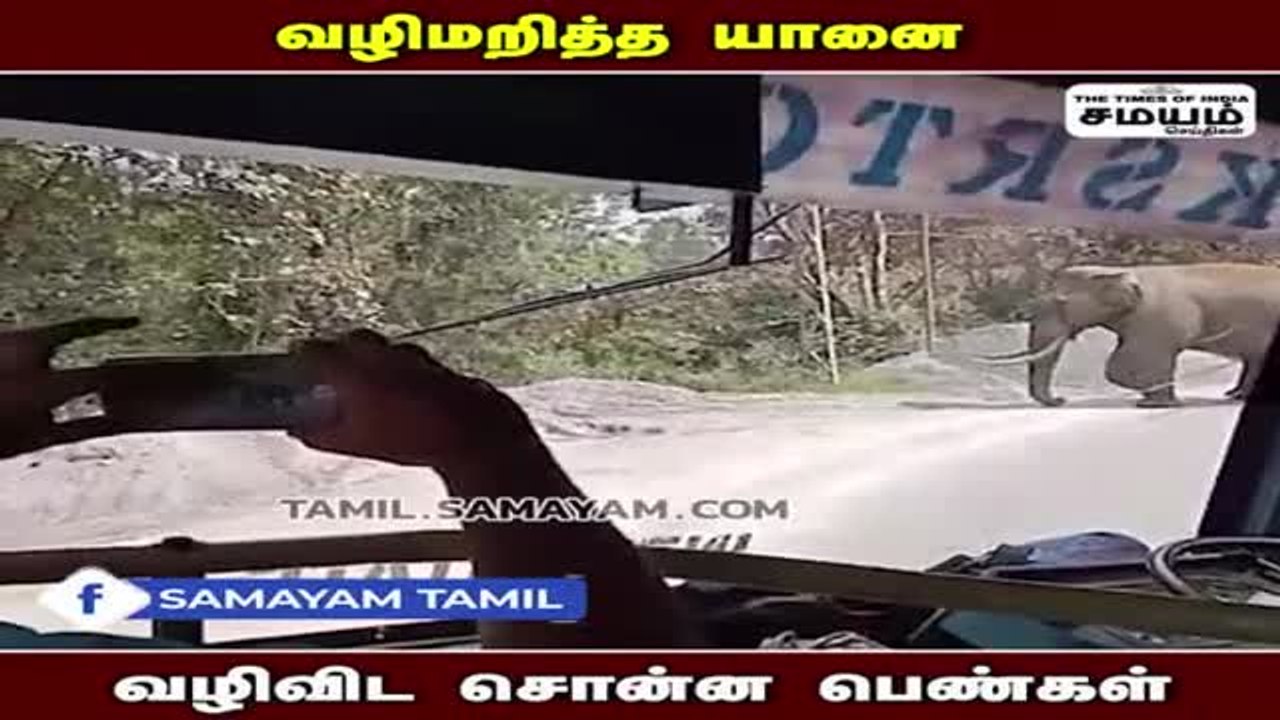 நீங்க போயிருங்கய்யா... போயிருங்கய்யா... துணிச்சலான டிரைவர்... பாசத்தால் விரட்டிய பயணிகள்!