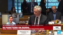 EU Sanctions on Russia: The further the EU goes, 'the more pain there will be for the imposing side'