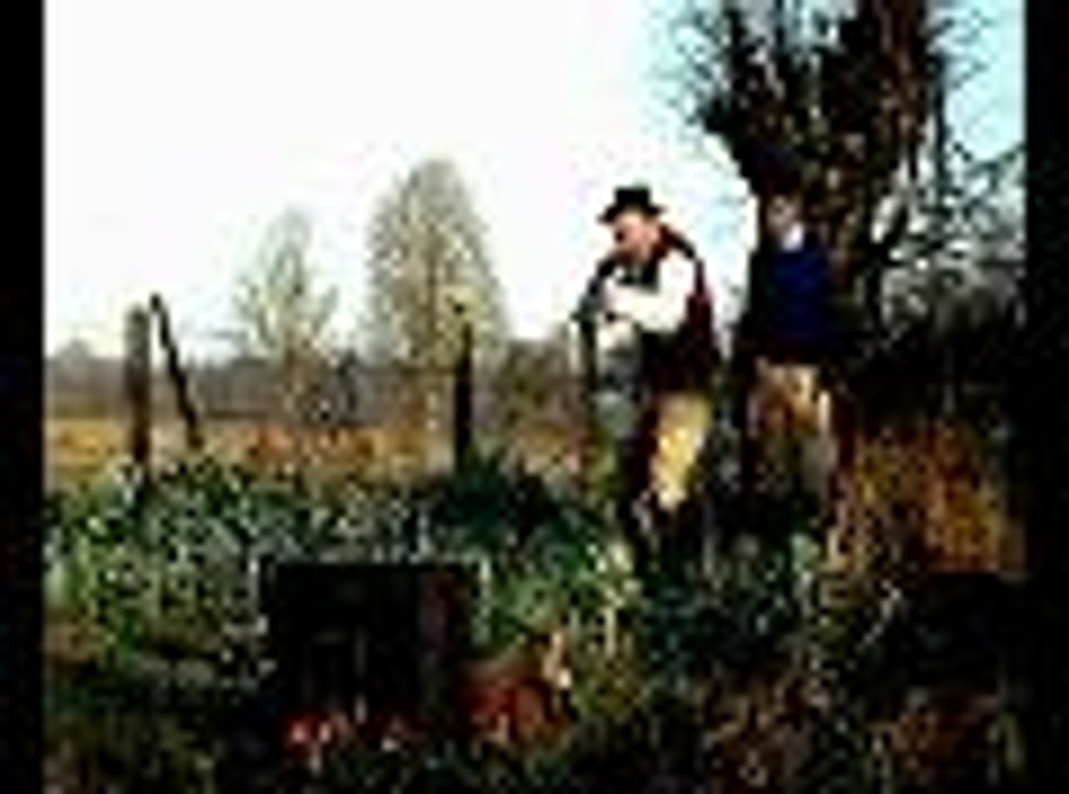 Les malheurs d'Alfred