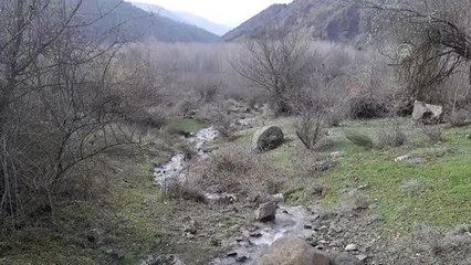 Havaların ısınmasıyla çiçekler açtı