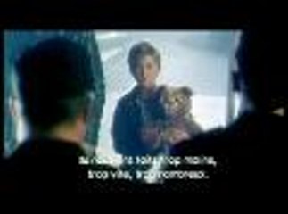 A.I. Intelligence artificielle