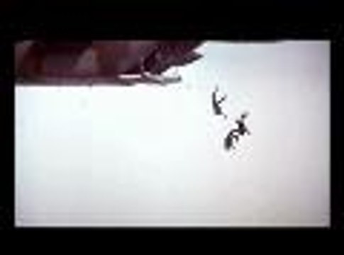 Tuer n'est pas jouer