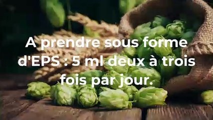 Bouffées de chaleur : quelles solutions douces ?