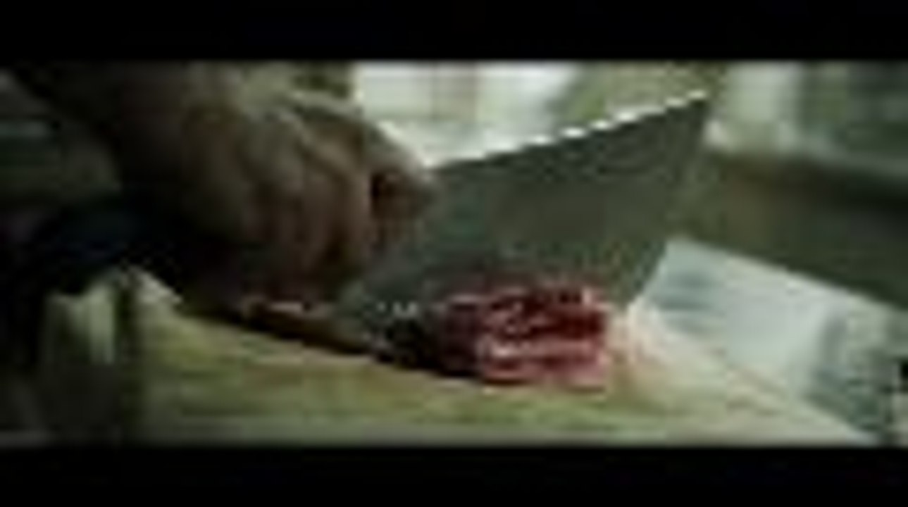 [Rec] 4 : apocalypse