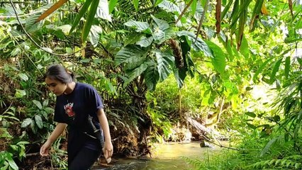 CARA GADIS DAYAK MENANGKAP KEPITING DI SUNGAI