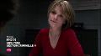 New York, section criminelle