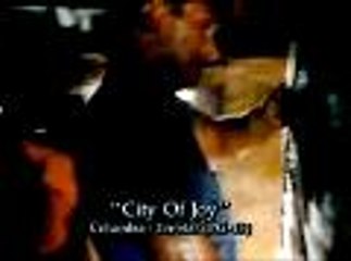 La cité de la joie