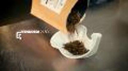 La vie rêvée de Gaspard