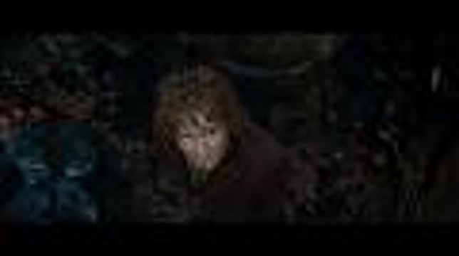Le Hobbit : la désolation de Smaug