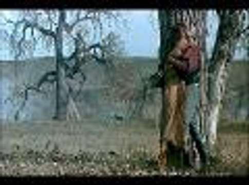 Danse avec les loups