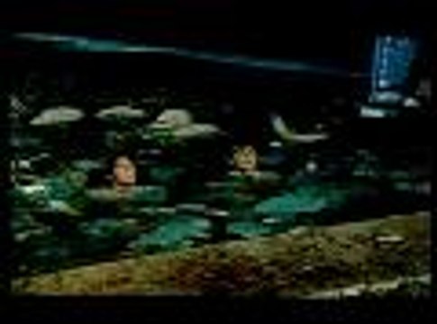 Les sous-doués en vacances