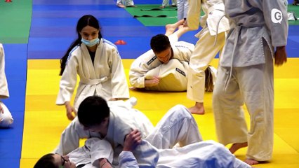 Le JT - 06/04/22 - 100 000 tulipes, Judo, Solidarité avec l'Ukraine - Le JT - TéléGrenoble