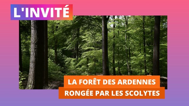 L'Ardennais publie un magazine sur la forêt des Ardennes
