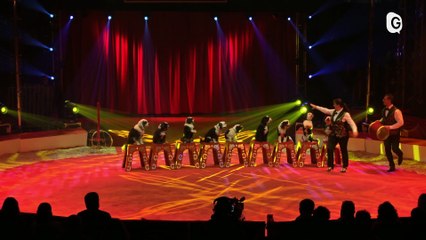 Spectacle - FESTIVAL DU CIRQUE DE MASSY