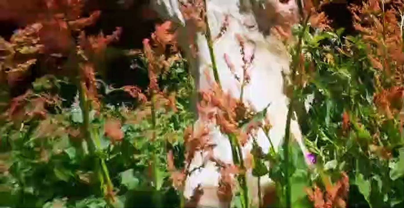 Europe From Above S02 E01