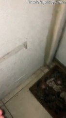 My Neighbor's Been Making Too Much Noise...