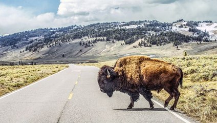 10 U.S. Destinations for Every Traveler’s Bucket List