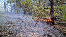 Banaz'da çıkan orman yangınında 4 hektar alan zarar gördü