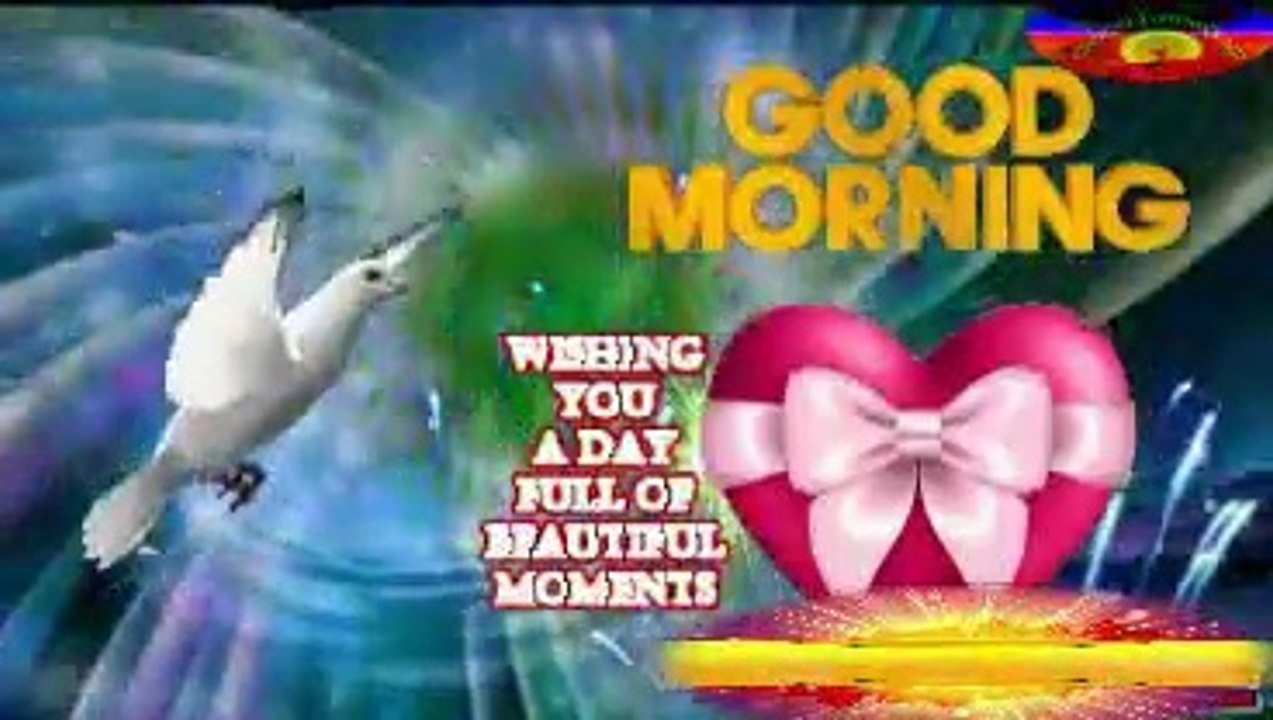 Good morning - Wishing you a day full of beautiful moments - video ...