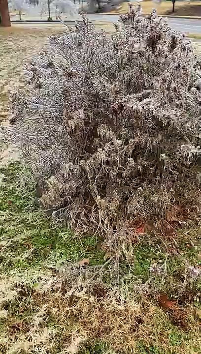 Memphis Ice Storm 2022 Part 2