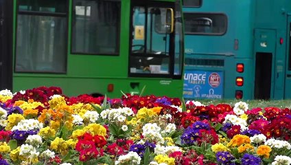 Residents' anger as Medway misses out on government cash to support local public transport