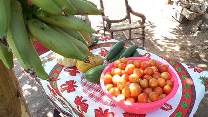 Programa de microcréditos en el campo fortalece emprendimiento “La Tomatera” en Santa Rosa del Peñón