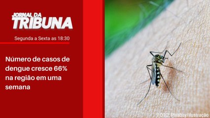Número de casos de dengue cresce 66% na região em uma semana