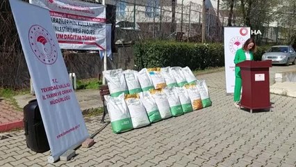 Ayçiçeği ithalatına karşı yerli tohum atağı... Devletten üreticiye 2 buçuk ton hibrit tohum