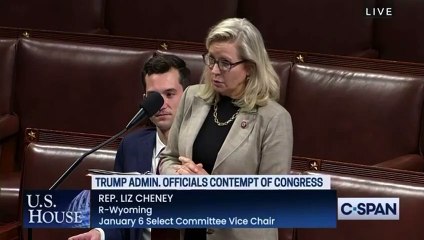 Liz Cheney: Yes, it was a false story & a big lie
