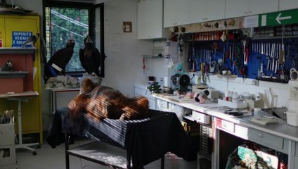 THE SECOND LIFE DAS ZWEITE LEBEN Film