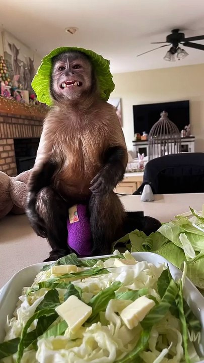 Gaitlyn Rae Meat loaf!Cooking With Gaitlyn Rae  Meat Loaf Potato's red sauce and Cabbage!