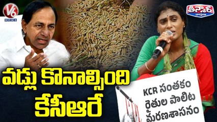 YS Sharmila Fires On CM KCR Over Paddy Procurement In Praja Prasthanam Padayatra _ Khammam _ V6