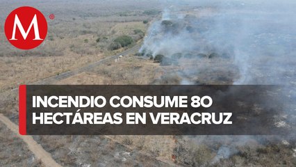 Скачать видео: En Veracruz, incendio forestal daña 80 hectáreas de arbustos